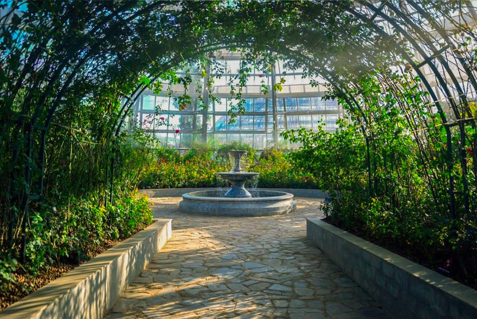 Rénovation extérieure classique pour un jardin et paysage à Toulouse Rénovation extérieure classique pour un jardin et paysage à Toulouse